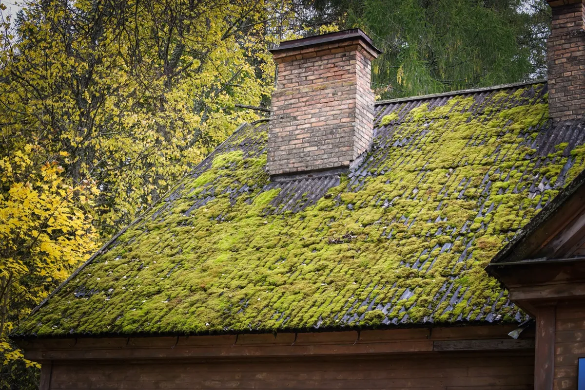 Roof Cleaning & Moss Removal